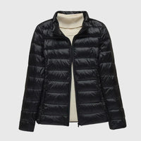 Black Stand Collar