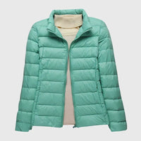 Turquoise Stand-up collar